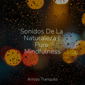 Momentos Tranquilos En El Río