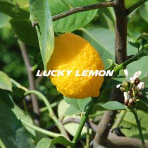 Lucky Lemon
