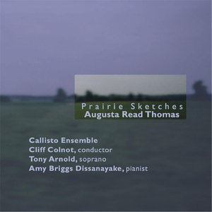 Piano Etudes: III. Cathedral Waterfall