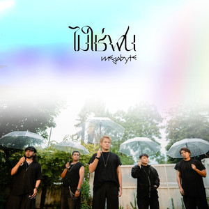ไม่ใช่ฝน