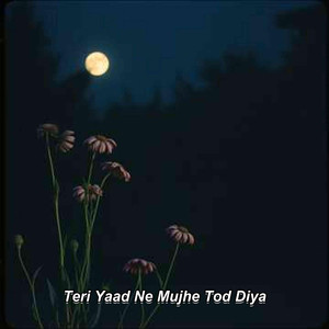 Teri Yaad Ne Mujhe Tod Diya
