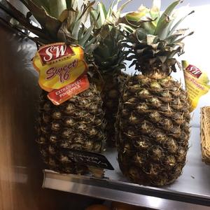 梦 醒 十 分 伴奏