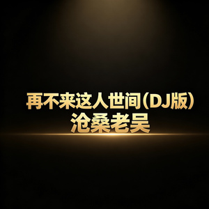 再不来这人世间(DJ版)
