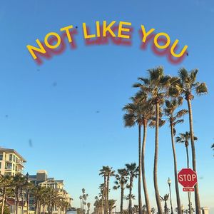 Kendrick X Westcoast G-Funk Beat "Not like you"