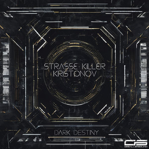 Dark Destiny (Original Mix)