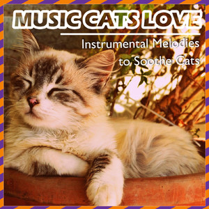 Calming Music for Cats