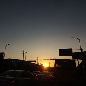 Sun memory（prod by mice）