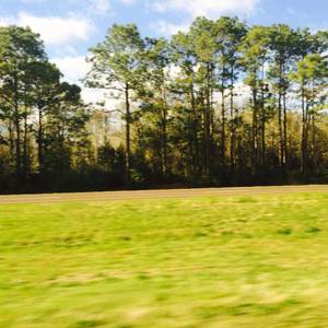 美好的一天我们去探险（remix）