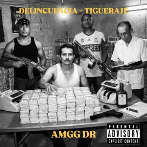 DELINCUENCIA + TIGUERAJE