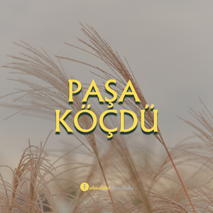 Paşa Köçdü (Qarazurna Havası)