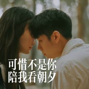 可惜不是你陪我看朝夕