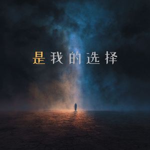 是我的选择