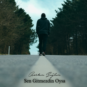 Sen Gitmezdin Oysa