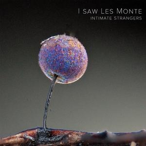 the boy who fell from fall