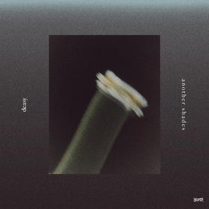 ถึงเธอไม่มีเขาเราก็ไม่ได้รักกันอยู่ดี (pity) [Acoustic Version]