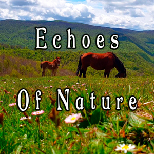 Peaceful River Flowing on a Sunny Spring Day