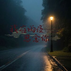 我在雨夜思念你