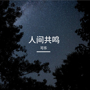 人间共鸣