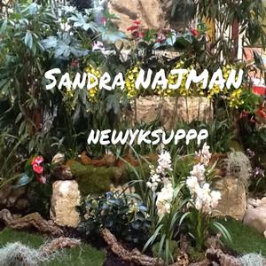 newyksuppp_mastered