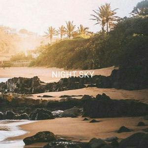 Night Sky