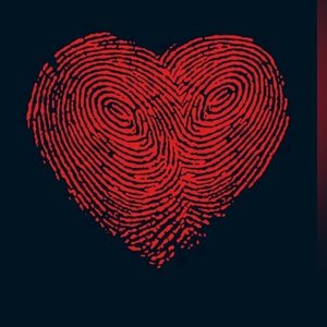 《粉笔灰与星光》