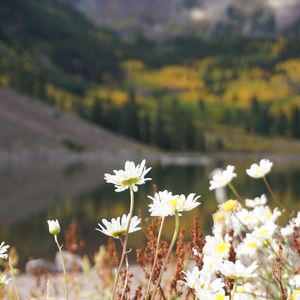 01. 十二国记~偲芳歌（十二国记）