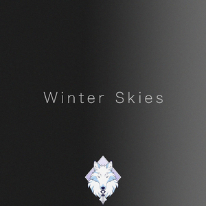 Winter Skies