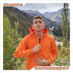 Шешім