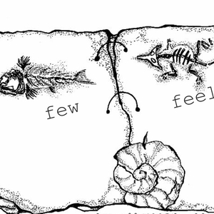 fewfeel - deep feeling