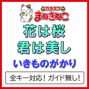 花は桜 君は美し（カラオケ）[Originally Performed By いきものがかり]
