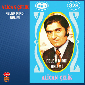 MİHNETİNİ BANA MI VERDİN