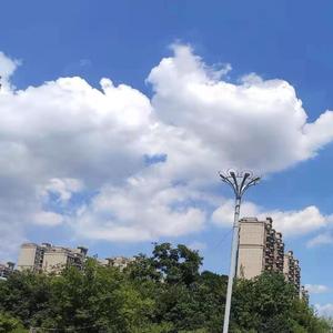 我要的飞翔（live（翻自 许飞）