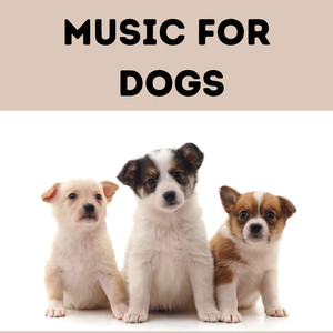 Pet Music