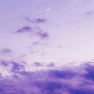 四重罪孽 ft.花黏黏&苏南音&酸奶