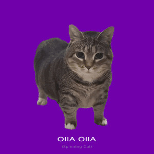OIIA OIIA ((Spinnin Cat Techno))