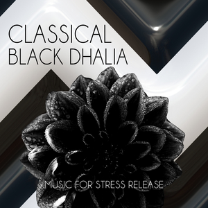 String Quartet No. 14 in C-Sharp Minor, Op. 131: I. Adagio ma non troppo e molto espressivo (Wood Quartet Version)