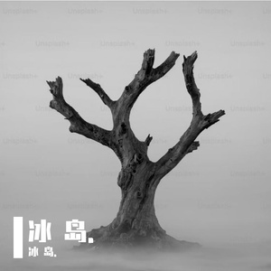 枯树等不到复活