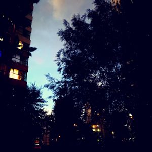 前夜-第六感（Demo）