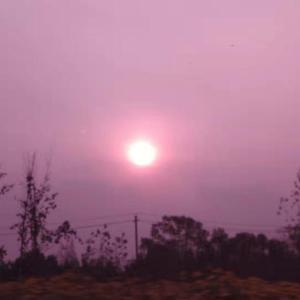 CDCR：Luca-2019.12.14