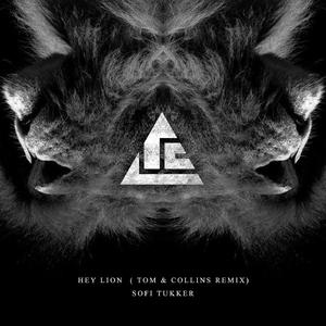 Hey Lion (Tom & Collins Remix)