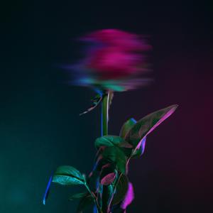 Revisionist history, selective memory