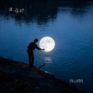 湖心捞月