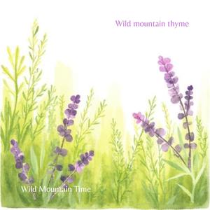 Wild mountain thyme