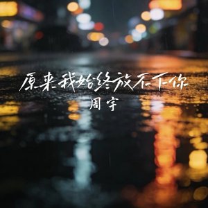 原来我始终放不下你