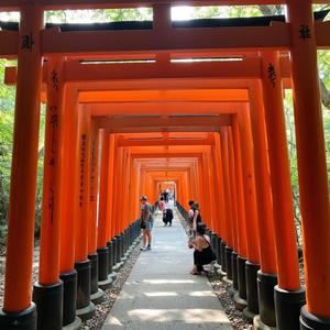 The Breeze of Okinawan Sands