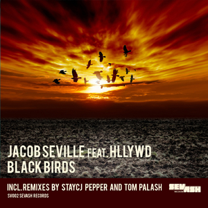 Black Birds (Staycj Pepper HP Calculated Remix)