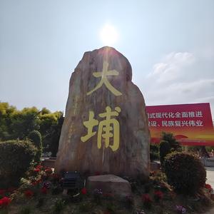 大湾区的大埔人