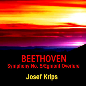 Symphony No. 5 in C Minor, Op. 67: III. Allegro / IV. Allegro