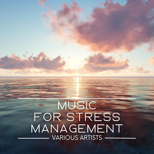 Memories of the Winter