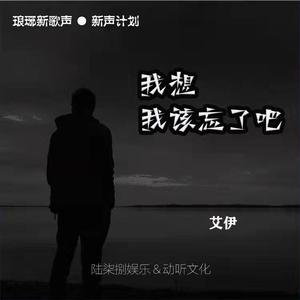 我想我该忘了吧